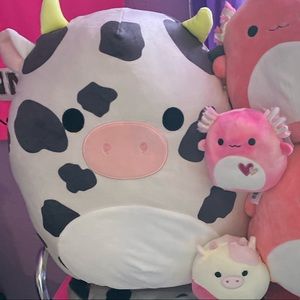 16 in Colin squishmallow NWT